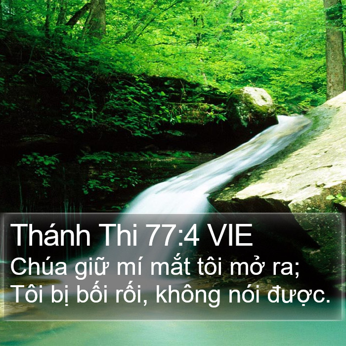 Thánh Thi 77:4 VIE Bible Study