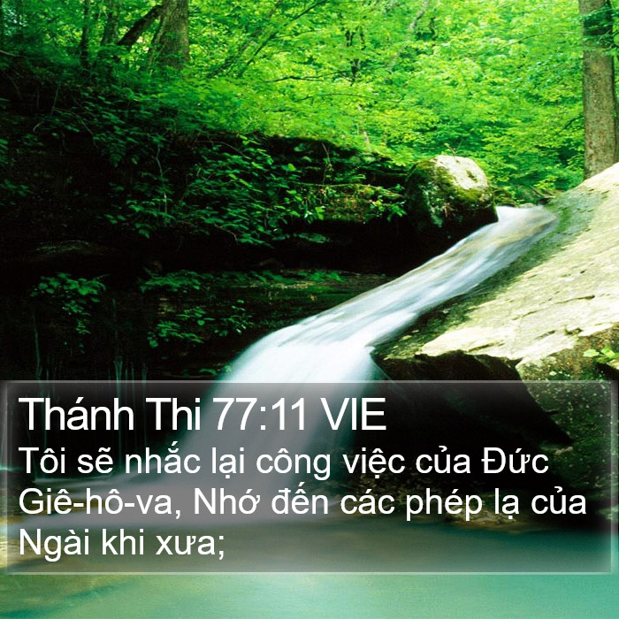 Thánh Thi 77:11 VIE Bible Study