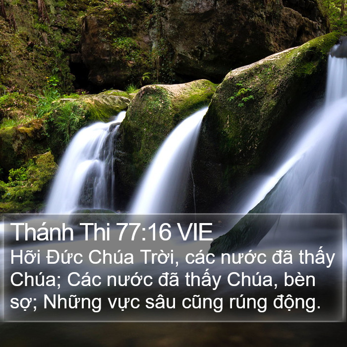 Thánh Thi 77:16 VIE Bible Study