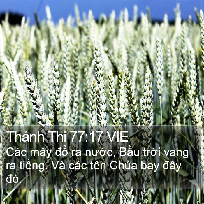 Thánh Thi 77:17 VIE Bible Study