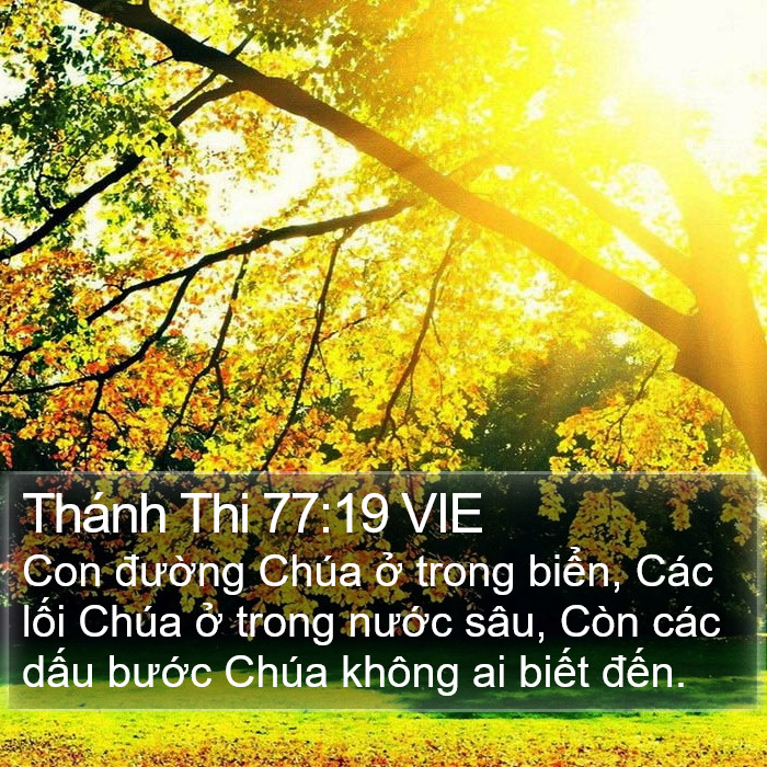 Thánh Thi 77:19 VIE Bible Study