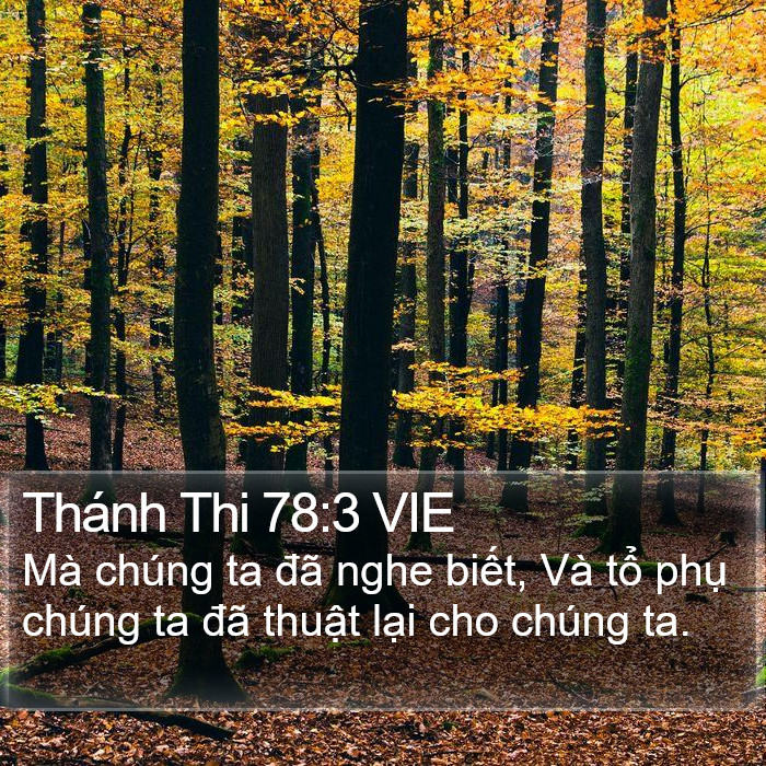 Thánh Thi 78:3 VIE Bible Study