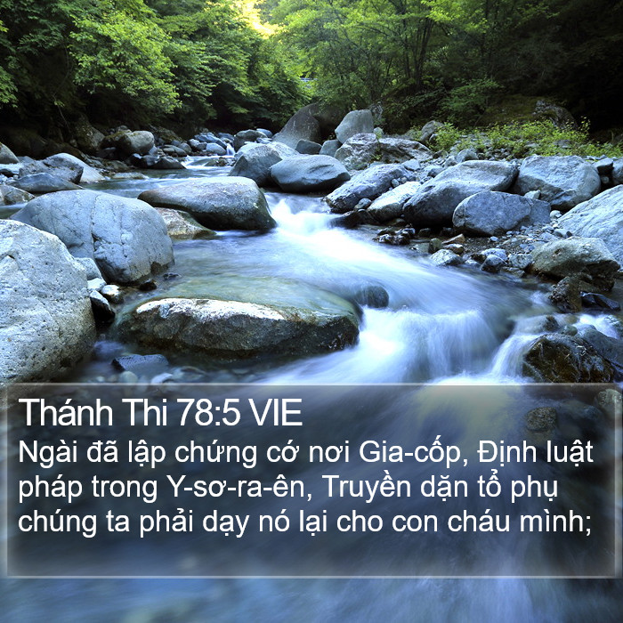 Thánh Thi 78:5 VIE Bible Study