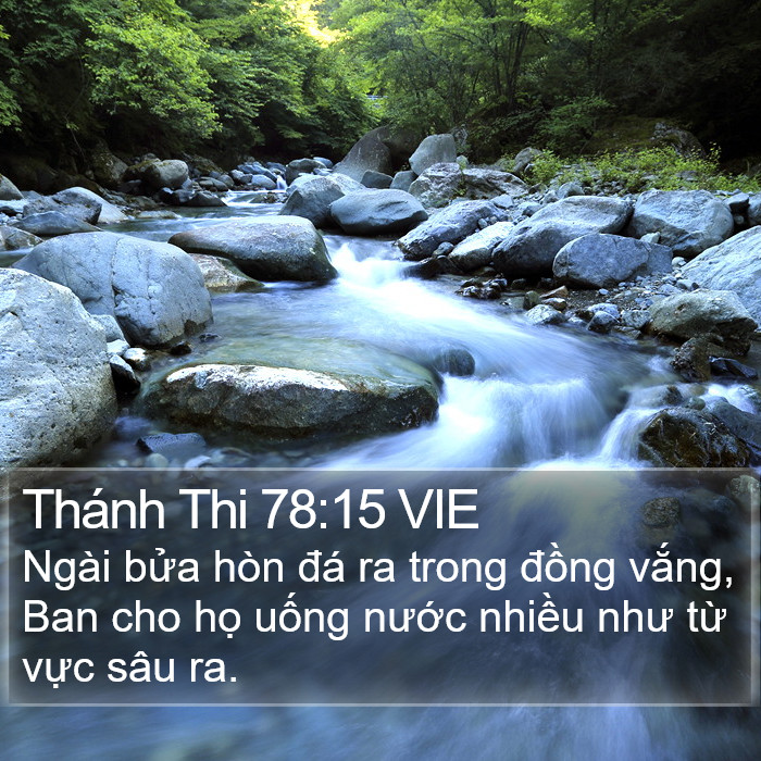 Thánh Thi 78:15 VIE Bible Study