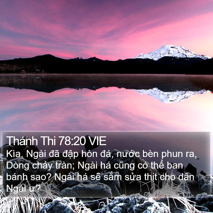 Thánh Thi 78:20 VIE Bible Study