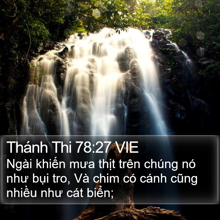 Thánh Thi 78:27 VIE Bible Study