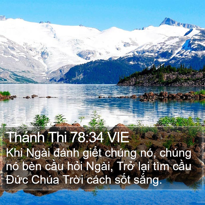 Thánh Thi 78:34 VIE Bible Study