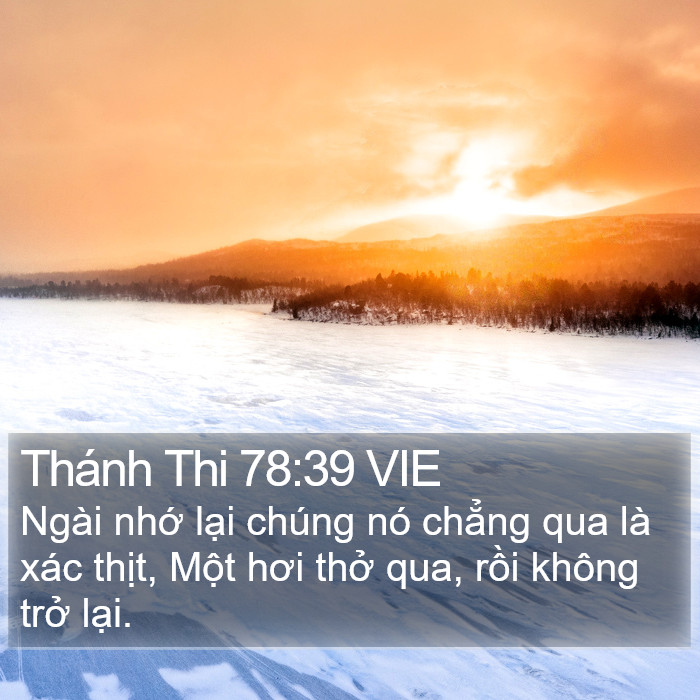 Thánh Thi 78:39 VIE Bible Study