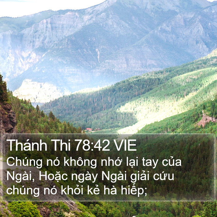 Thánh Thi 78:42 VIE Bible Study