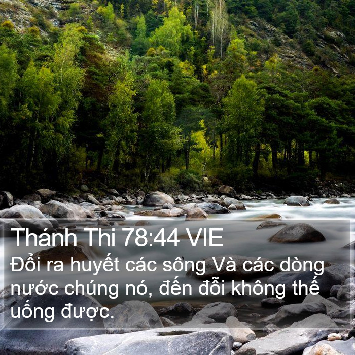 Thánh Thi 78:44 VIE Bible Study