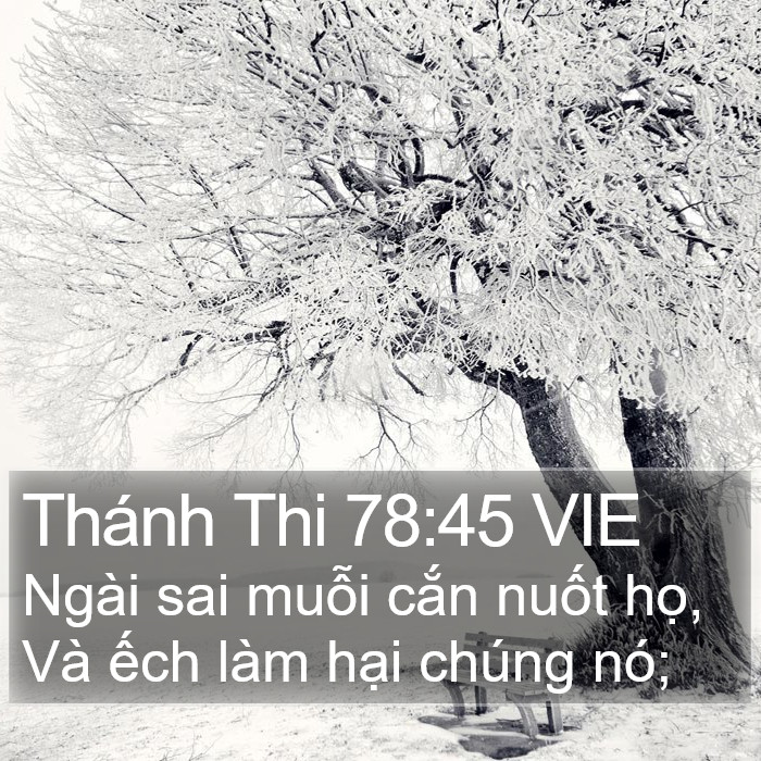 Thánh Thi 78:45 VIE Bible Study