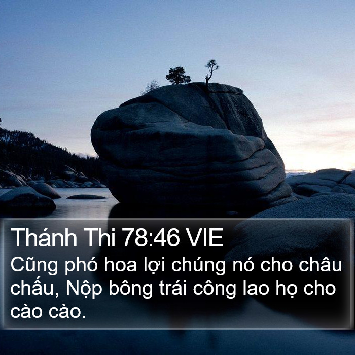 Thánh Thi 78:46 VIE Bible Study