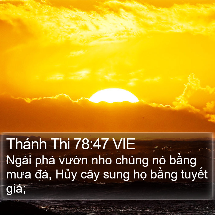 Thánh Thi 78:47 VIE Bible Study