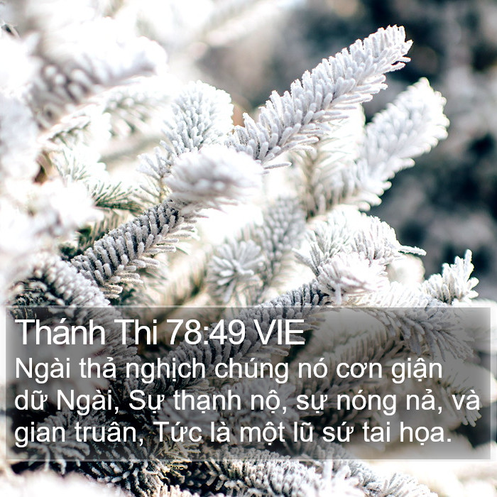 Thánh Thi 78:49 VIE Bible Study