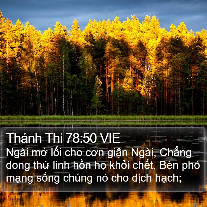 Thánh Thi 78:50 VIE Bible Study