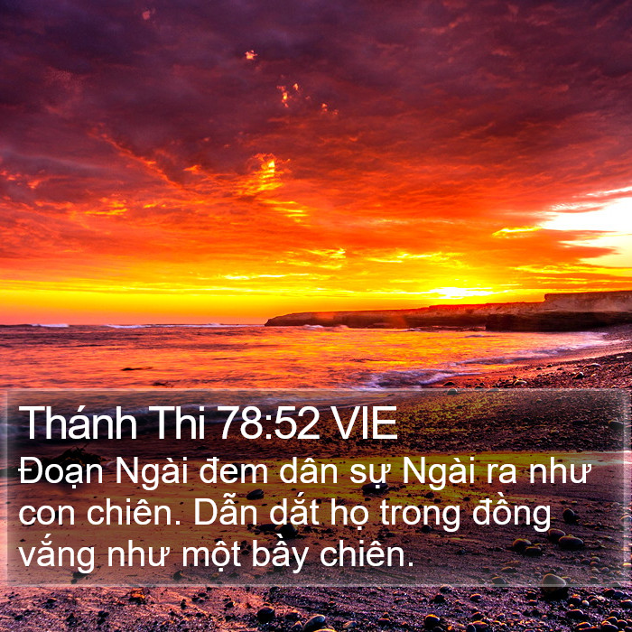 Thánh Thi 78:52 VIE Bible Study