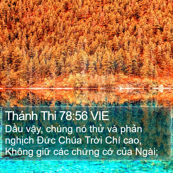 Thánh Thi 78:56 VIE Bible Study