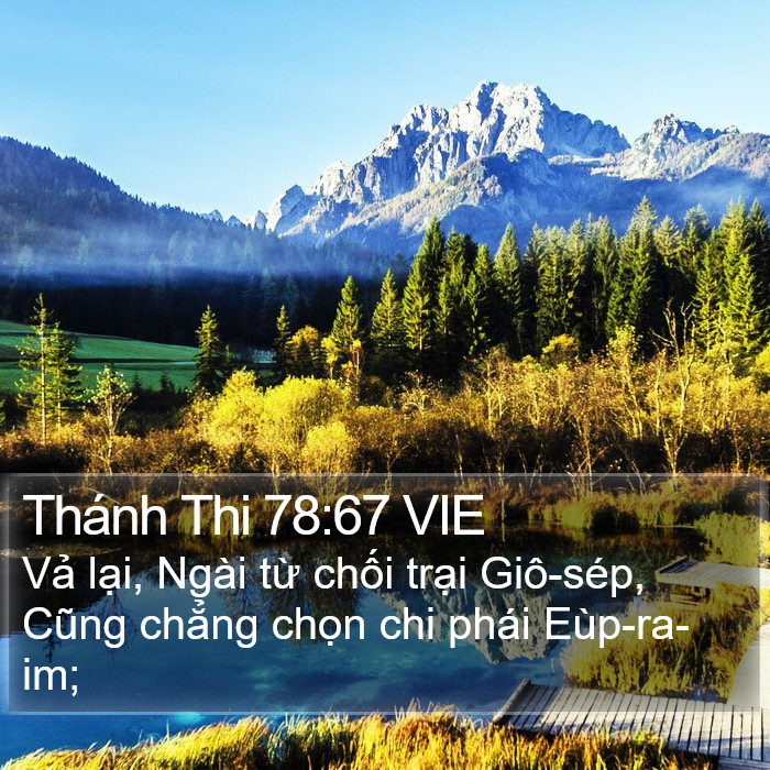 Thánh Thi 78:67 VIE Bible Study