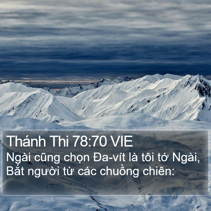 Thánh Thi 78:70 VIE Bible Study