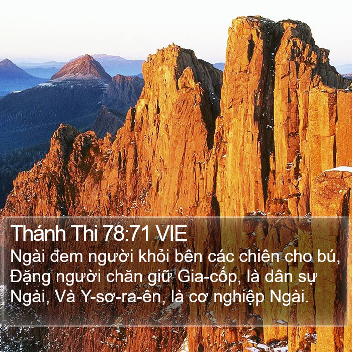 Thánh Thi 78:71 VIE Bible Study