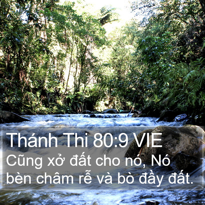 Thánh Thi 80:9 VIE Bible Study