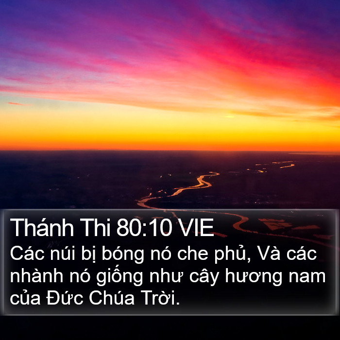 Thánh Thi 80:10 VIE Bible Study