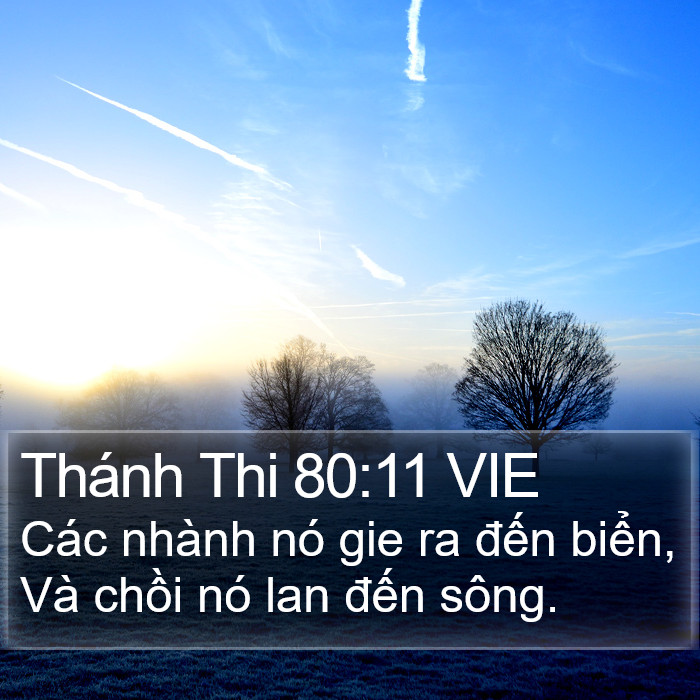 Thánh Thi 80:11 VIE Bible Study