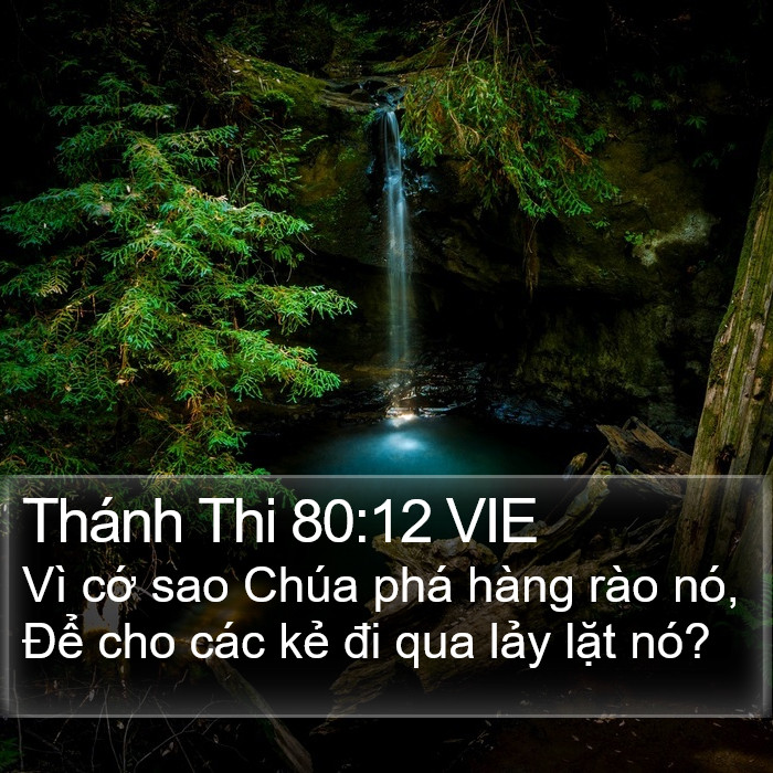 Thánh Thi 80:12 VIE Bible Study