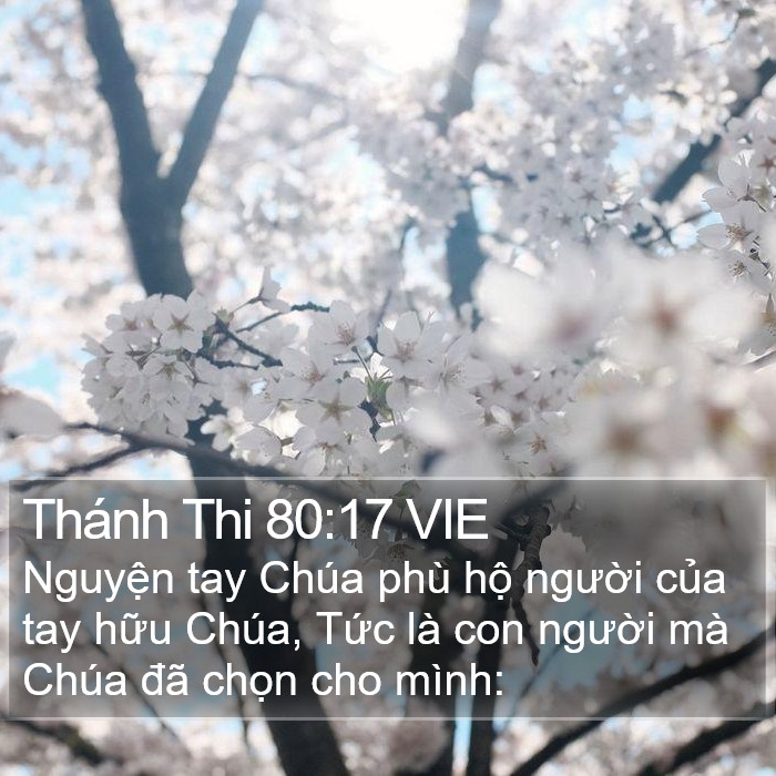 Thánh Thi 80:17 VIE Bible Study