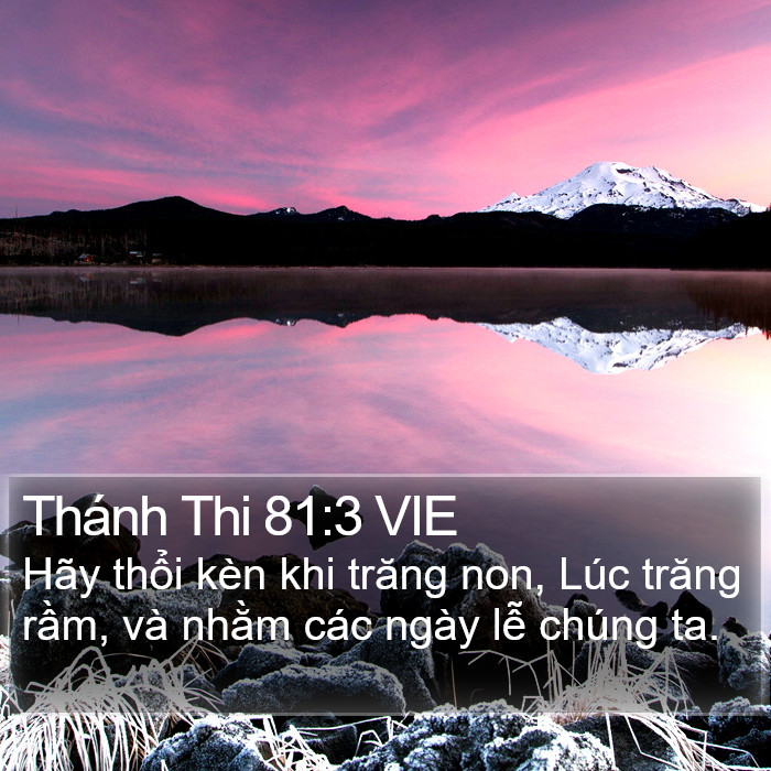 Thánh Thi 81:3 VIE Bible Study