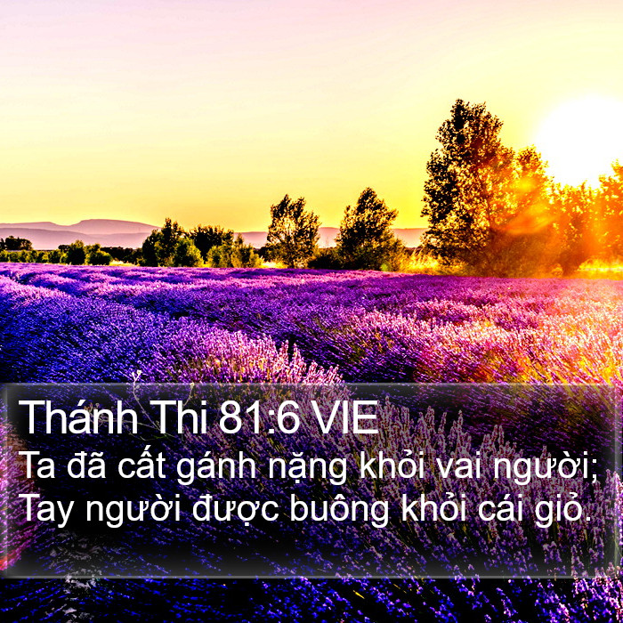 Thánh Thi 81:6 VIE Bible Study