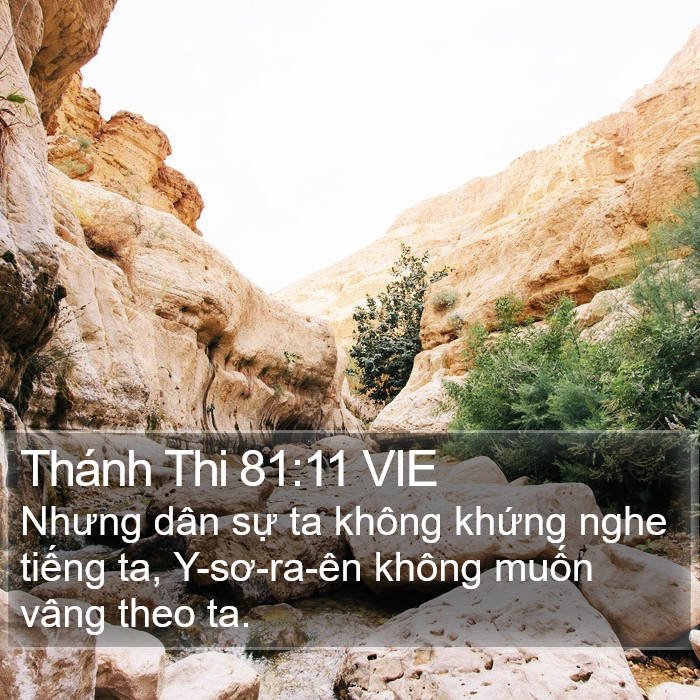 Thánh Thi 81:11 VIE Bible Study