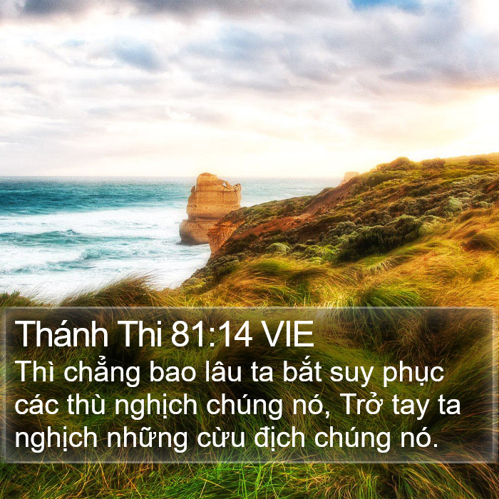 Thánh Thi 81:14 VIE Bible Study