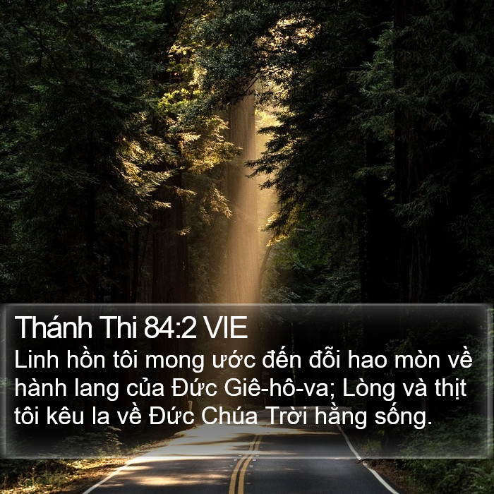 Thánh Thi 84:2 VIE Bible Study