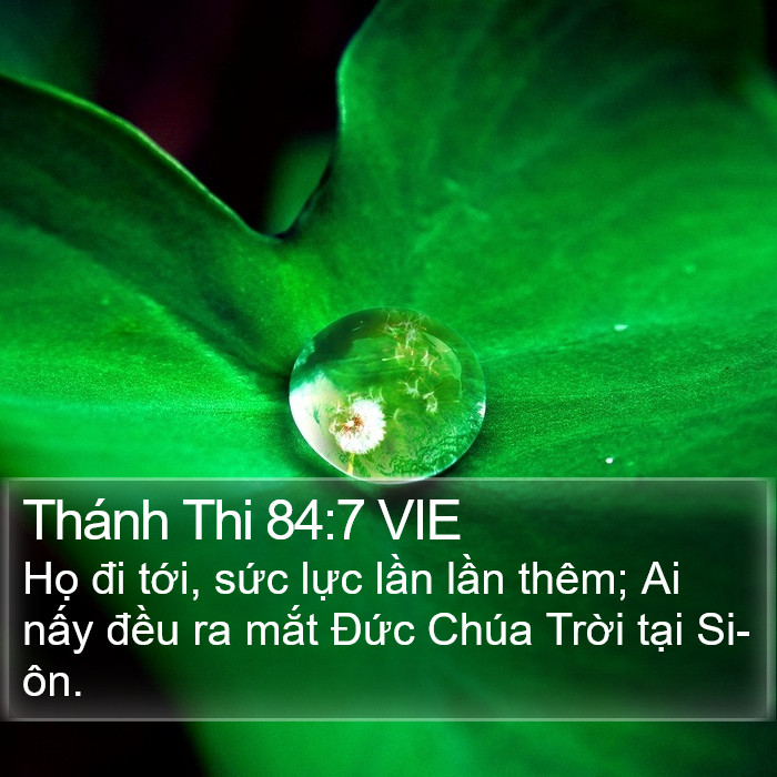 Thánh Thi 84:7 VIE Bible Study