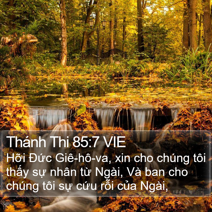 Thánh Thi 85:7 VIE Bible Study