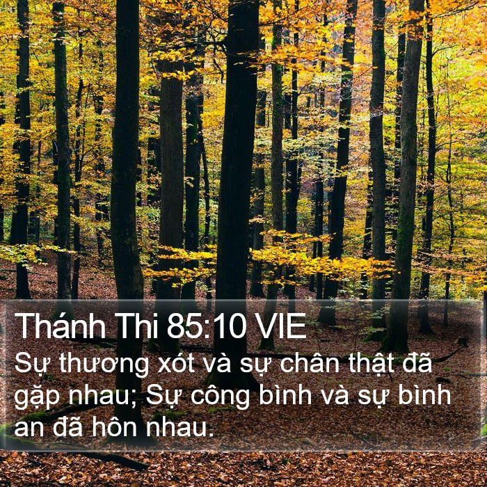 Thánh Thi 85:10 VIE Bible Study