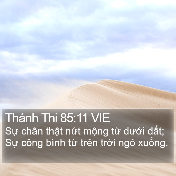 Thánh Thi 85:11 VIE Bible Study