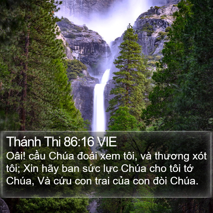 Thánh Thi 86:16 VIE Bible Study