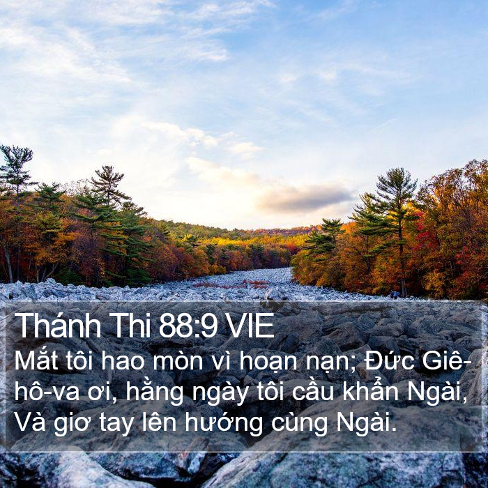 Thánh Thi 88:9 VIE Bible Study