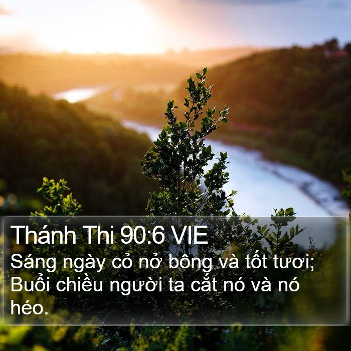 Thánh Thi 90:6 VIE Bible Study