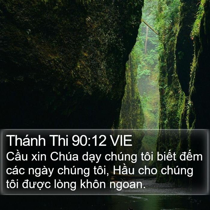 Thánh Thi 90:12 VIE Bible Study
