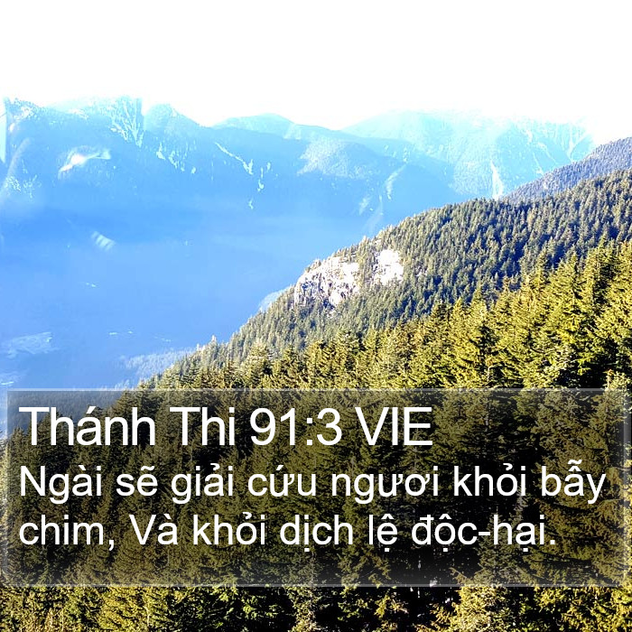 Thánh Thi 91:3 VIE Bible Study