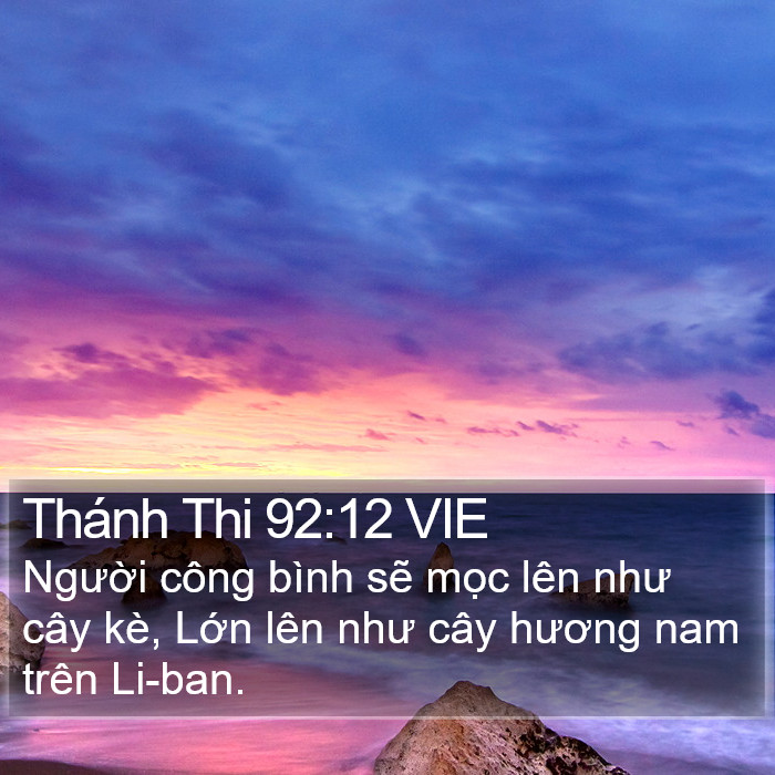 Thánh Thi 92:12 VIE Bible Study