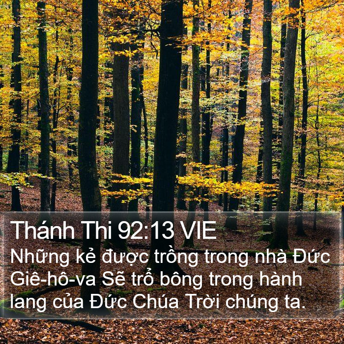 Thánh Thi 92:13 VIE Bible Study