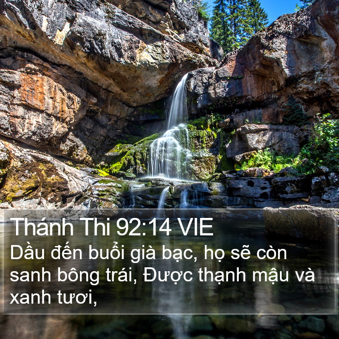 Thánh Thi 92:14 VIE Bible Study