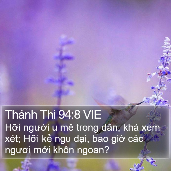 Thánh Thi 94:8 VIE Bible Study