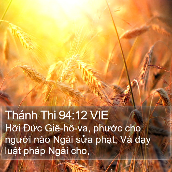 Thánh Thi 94:12 VIE Bible Study