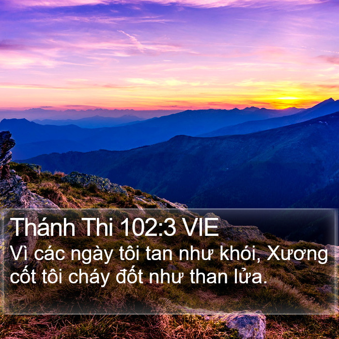 Thánh Thi 102:3 VIE Bible Study