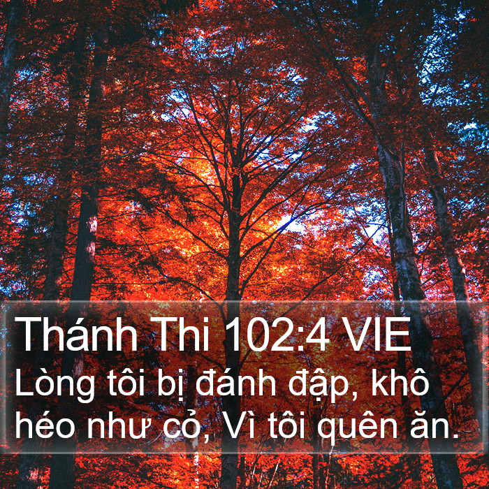 Thánh Thi 102:4 VIE Bible Study